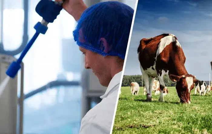 Higiena produkcji agrobiznes