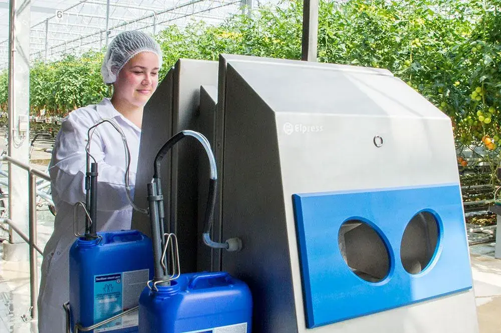 ¿Es posible combatir de manera preventiva la bacteria Ralstonia?