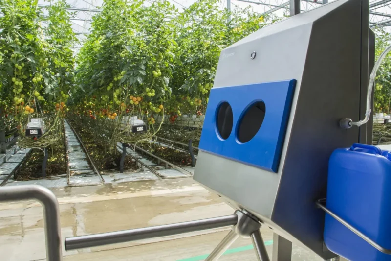verspreiders van ziektes in de glastuinbouw