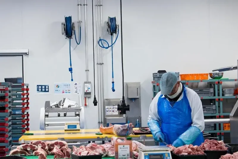 Seguridad alimentaria e higiene personal
