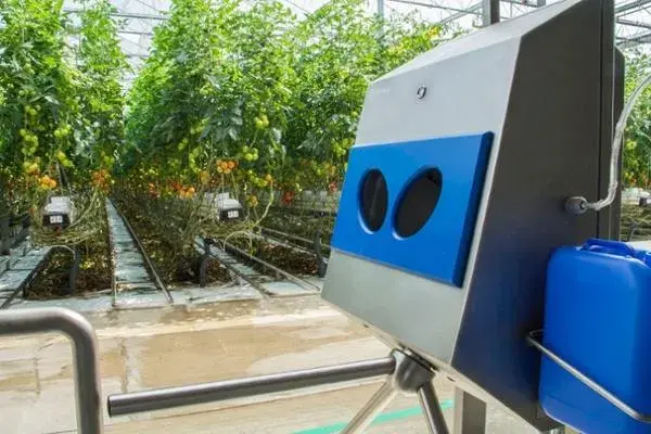 ¿Cuáles son los tres propagadores de enfermedades más importantes en el cultivo en invernadero?