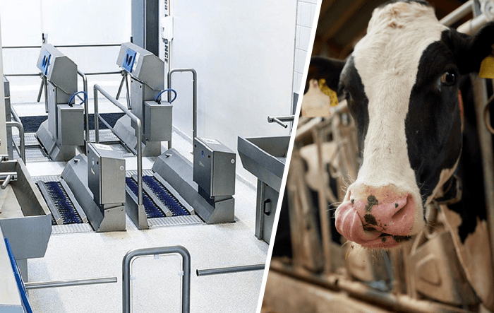 Personal Hygiene Agribusiness