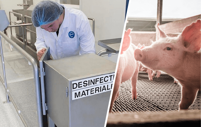 Hygienemaßnahmen für den landwirtschaftlichen Sektor