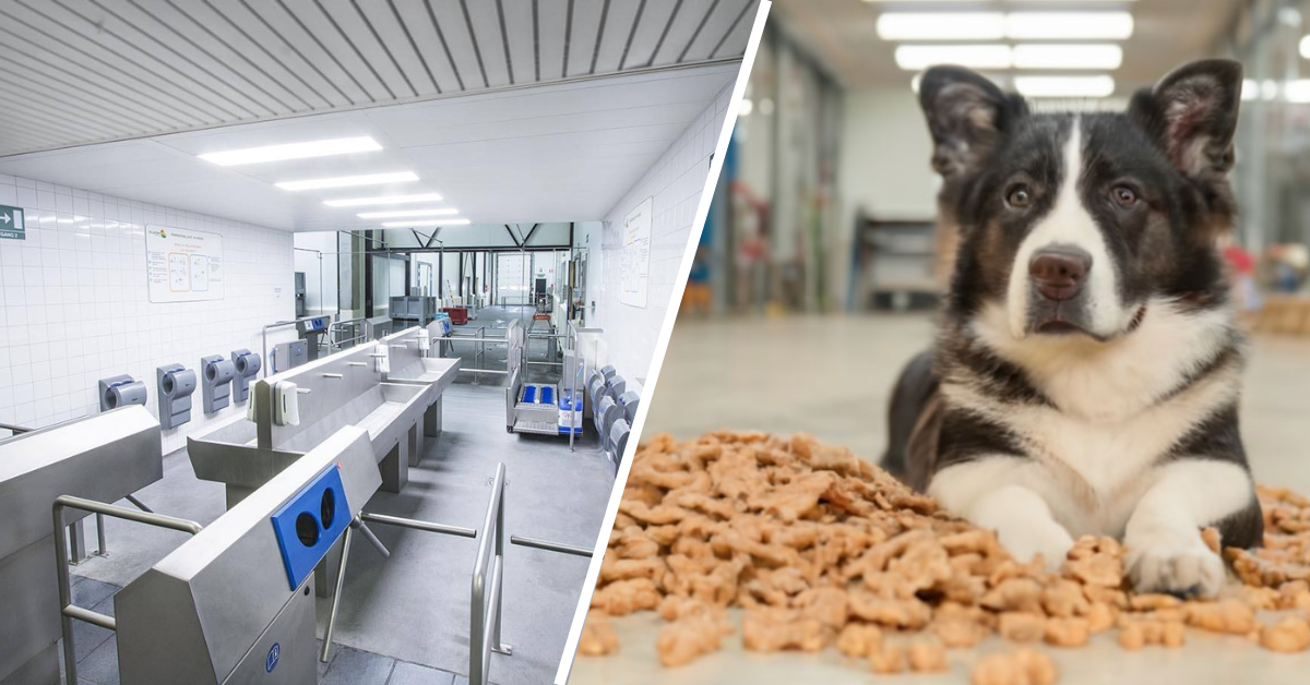 Elpress - Contamination in the production of pet food