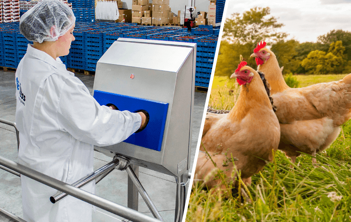 Środki higieny dla zmniejszenia ryzyka ptasiej grypy