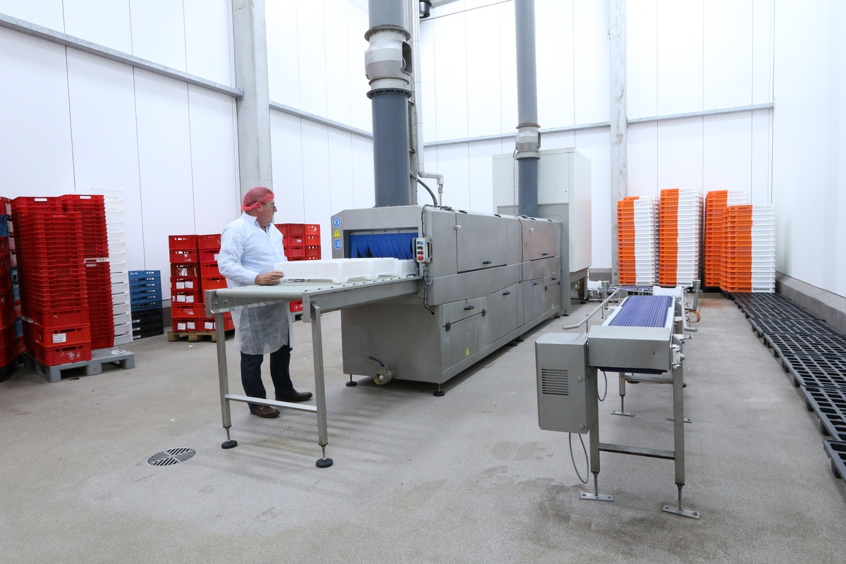 Crate washer Vanlommel