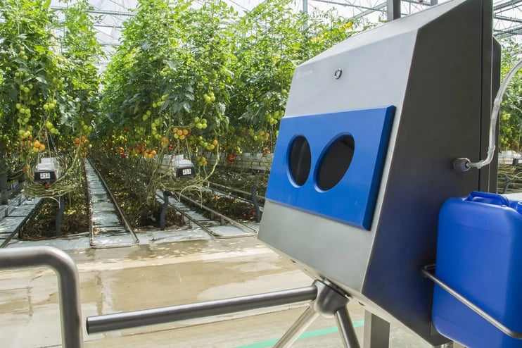 verspreiders van ziektes in de glastuinbouw