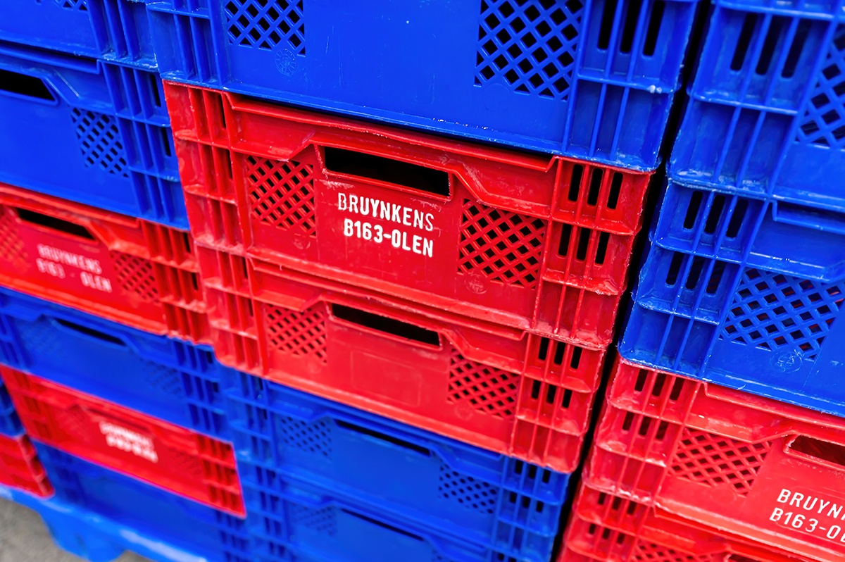 Referencia - Bruynkens - Cajas